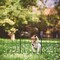 28pcs Metal Garden Fence Outdoor 24in x 30ft Folding Patio Flower Bed Fences